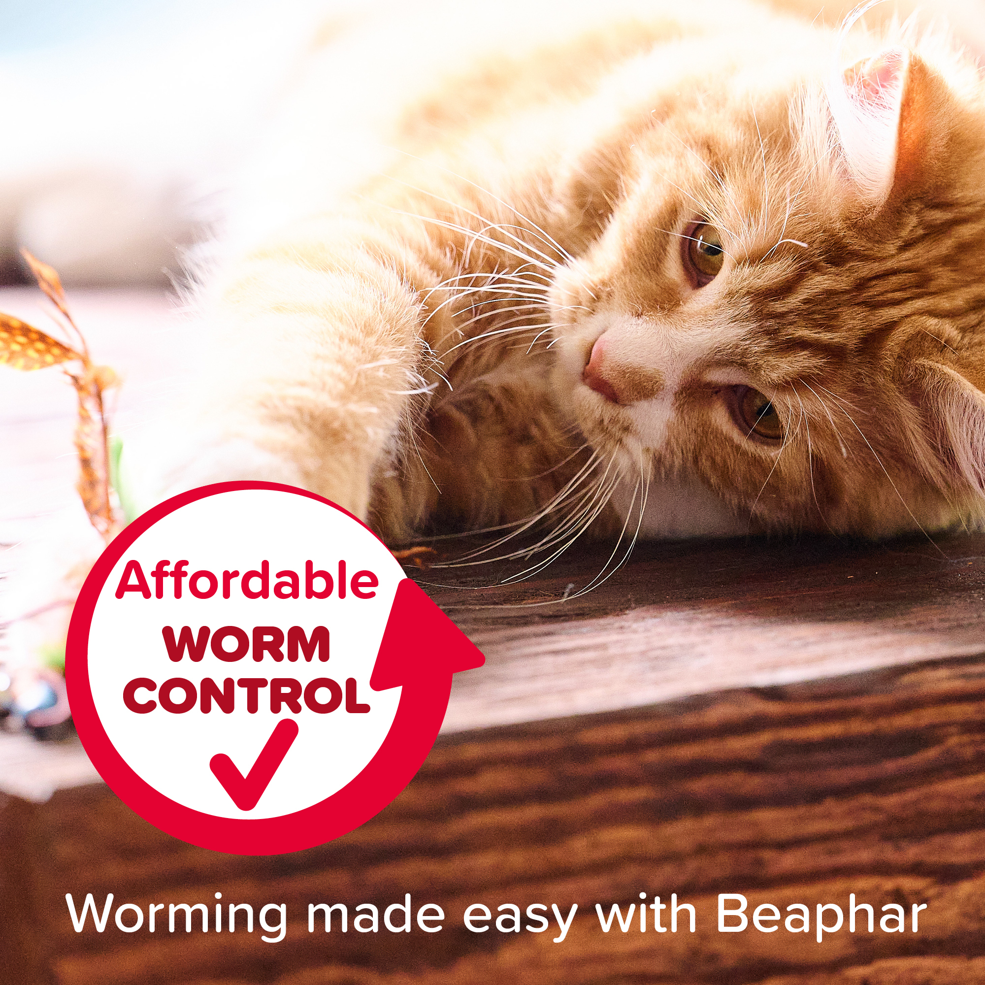 Beaphar WORMclear® Spot-On for Cats – 2 Pipettes