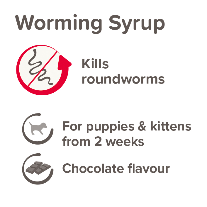 Beaphar Worming Syrup for Puppies & Kittens, 45ml
