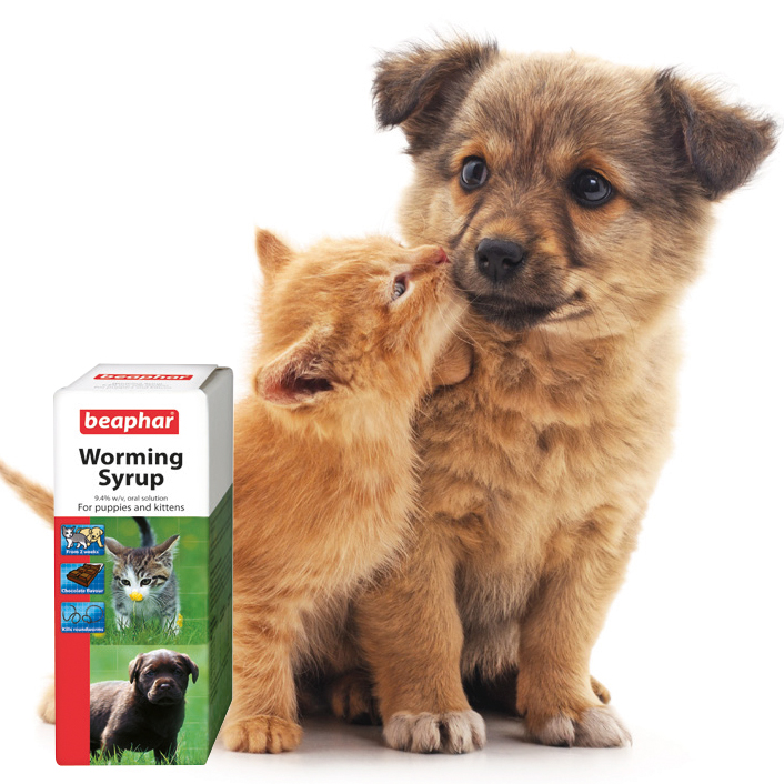 Beaphar Worming Syrup for Puppies & Kittens, 45ml