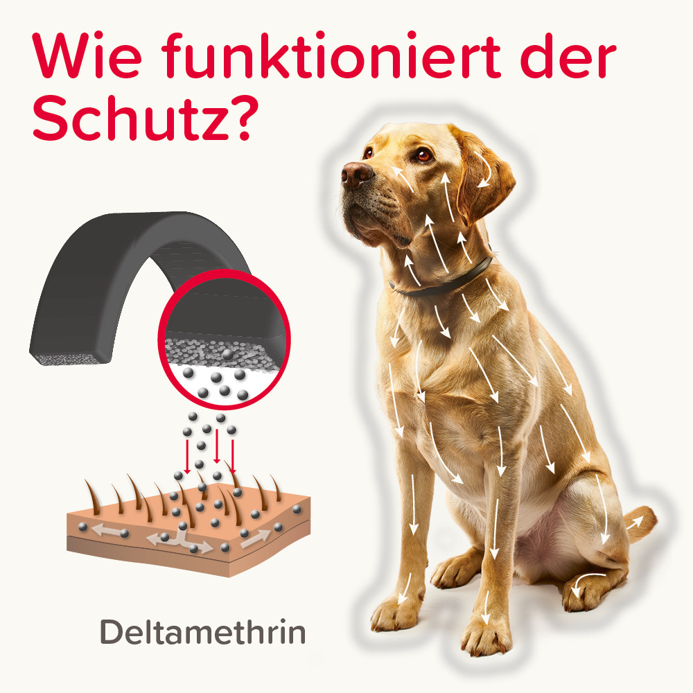 Canishield für große Hunde, 65 cm