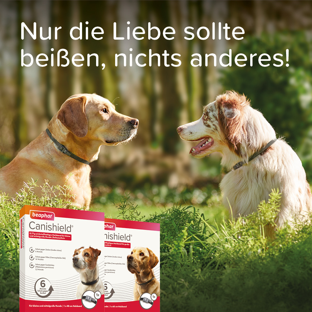 Canishield für große Hunde, 65 cm