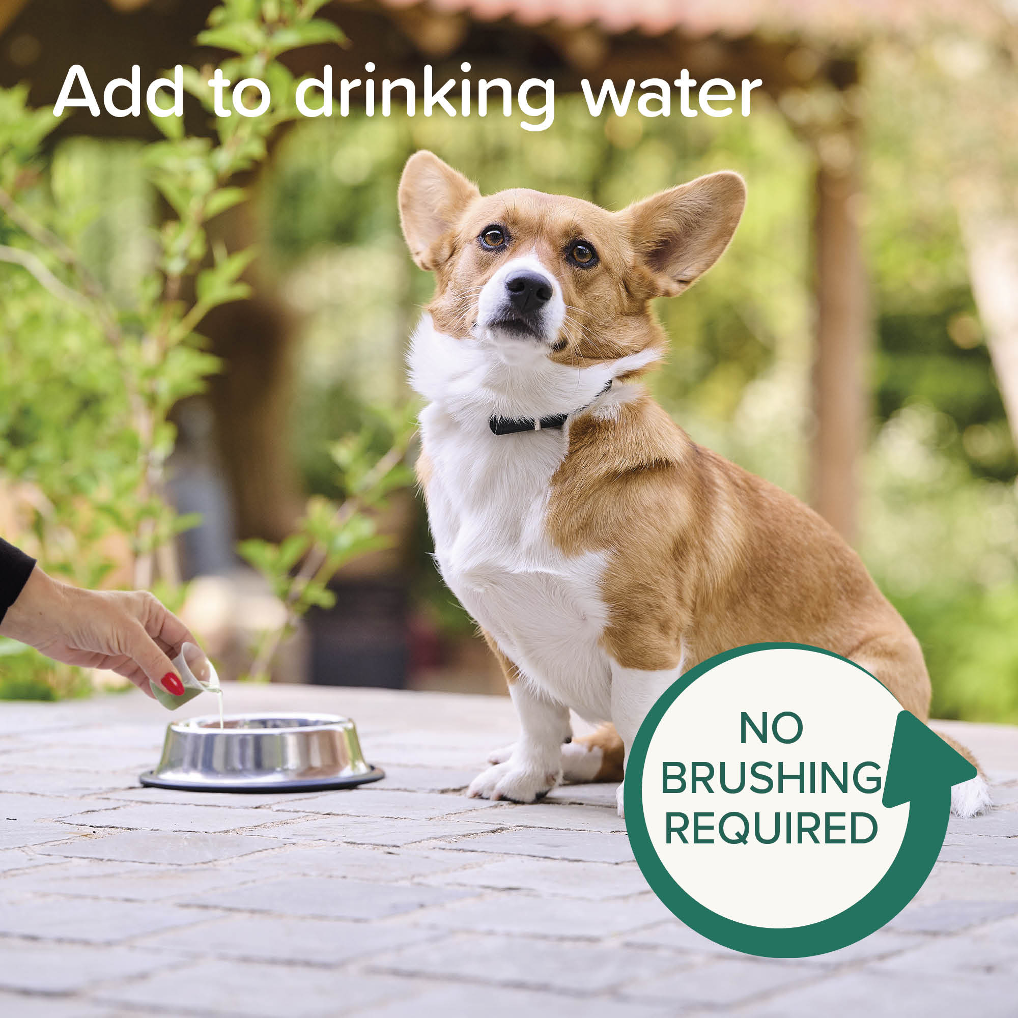 Beaphar Plaque Away Drinking Water Additive for Cats & Dogs, 250ml