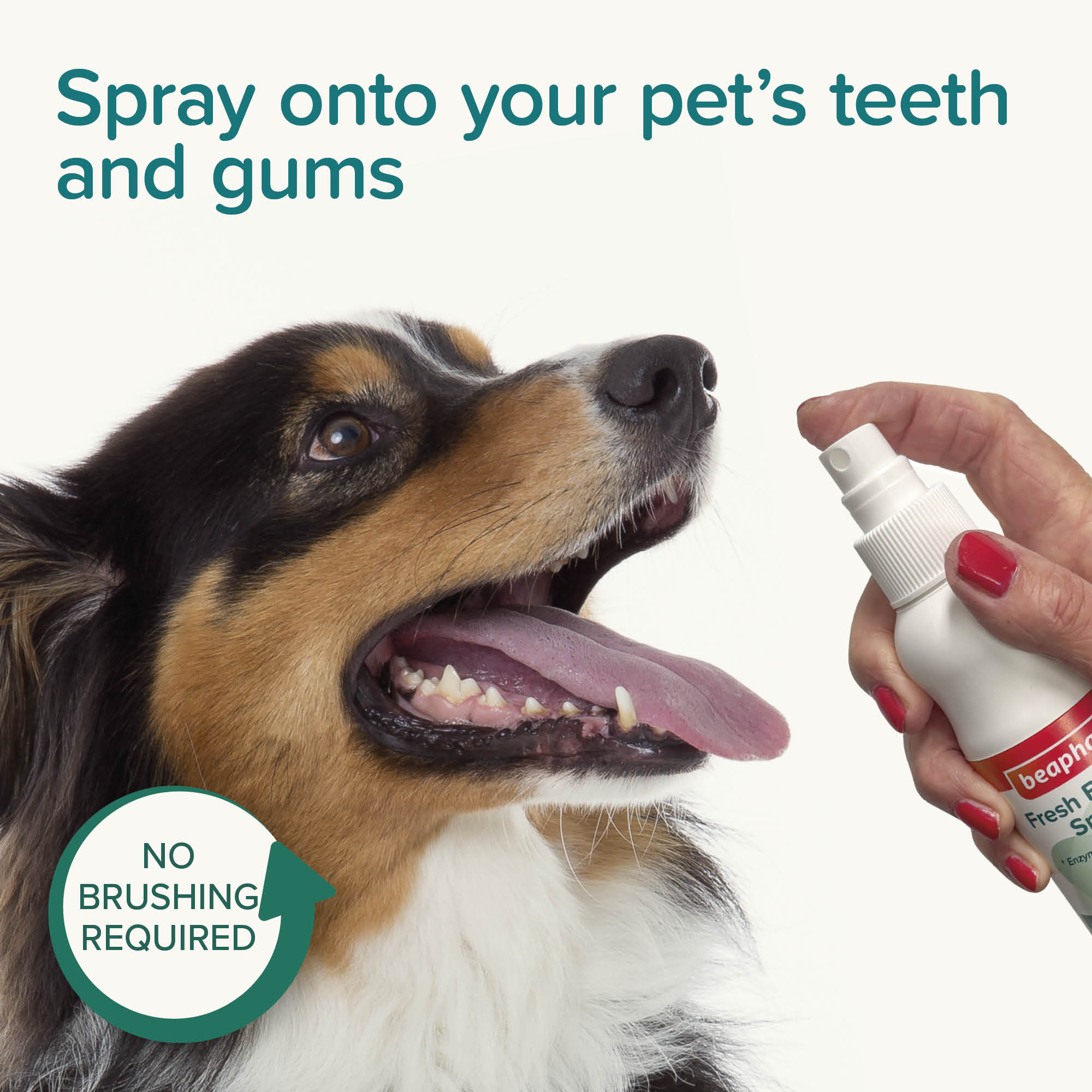 Beaphar Fresh Breath Anti-Plaque Mouth Spray for Dogs and Cats, 150ml