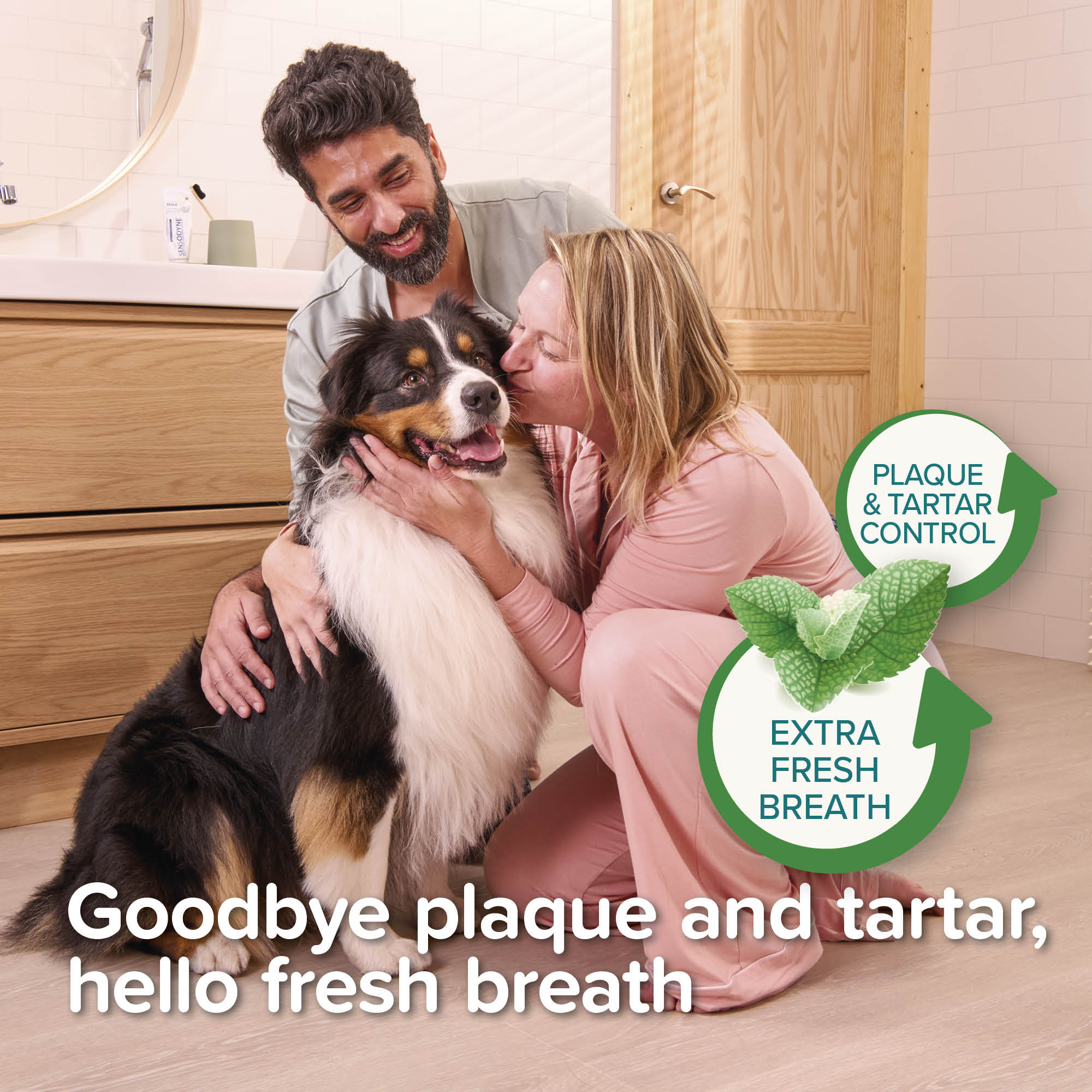 Beaphar Fresh Breath Anti-Plaque Mouth Spray for Dogs and Cats, 150ml