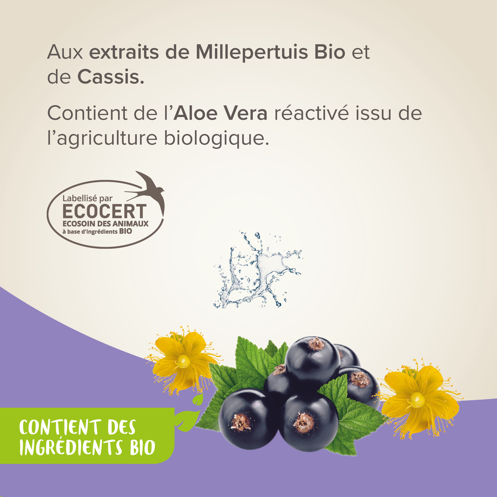 Shampoing anti-démangeaisons labellisé ECOCERT pour chien