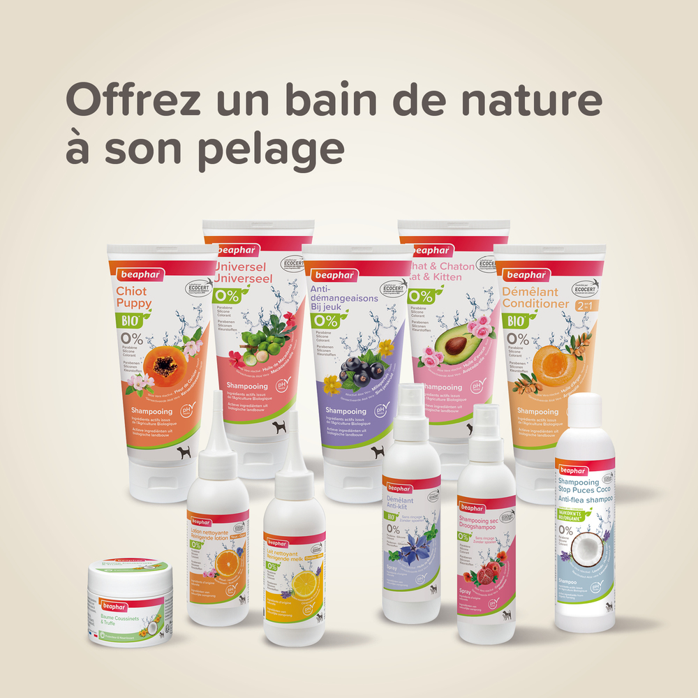 Shampoing anti-démangeaisons labellisé ECOCERT pour chien