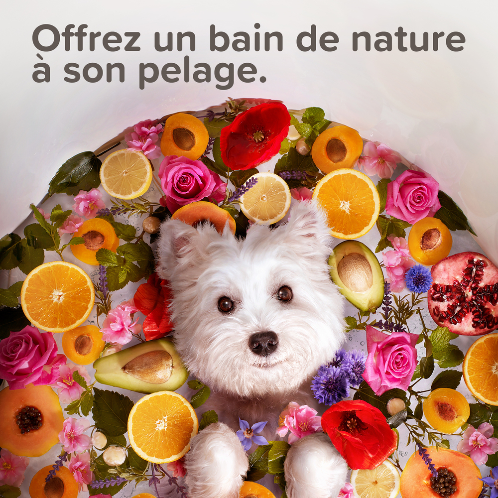 Lait nettoyant oreilles labellisé ECOCERT