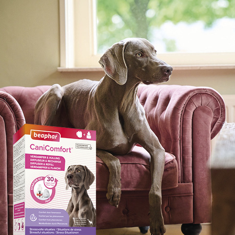 Beaphar CaniComfort® Verdamper en vulling