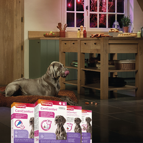 Beaphar CaniComfort® Verdamper en vulling