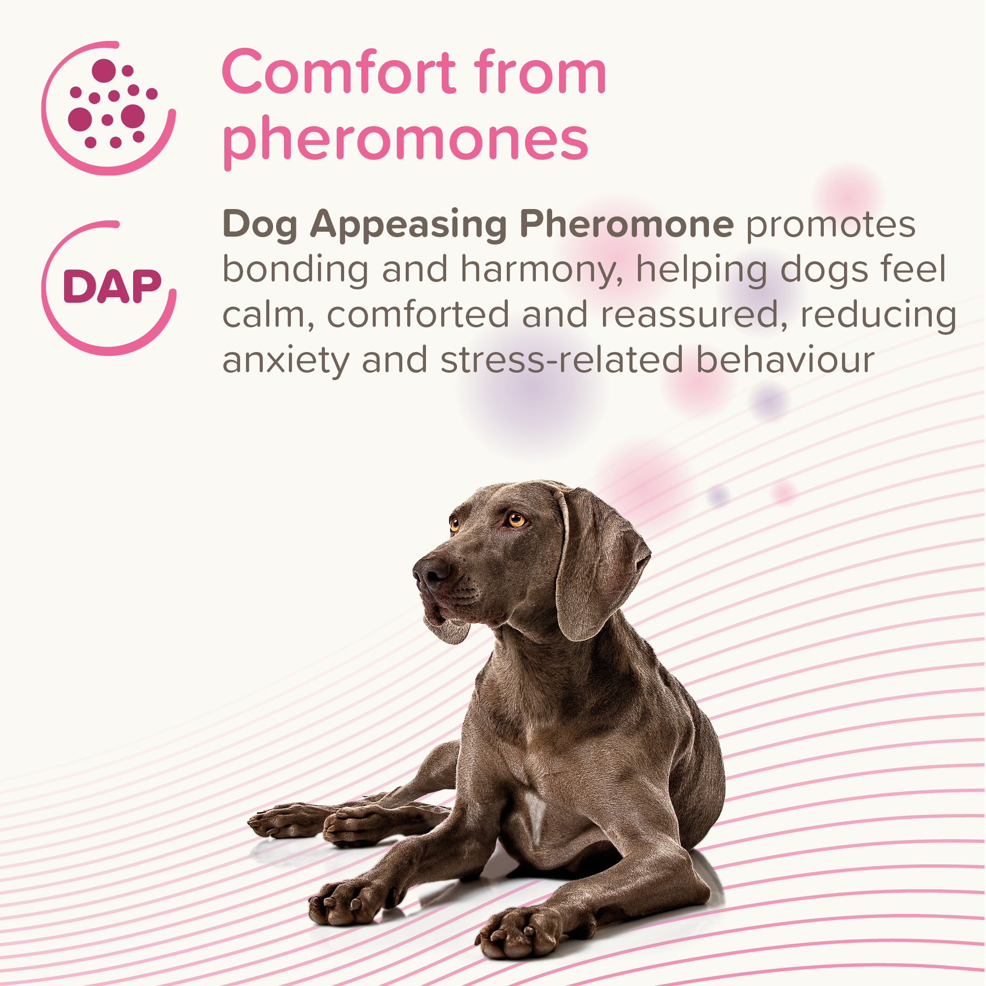 Beaphar CaniComfort® Calming Diffuser, Starter Kit 1x diffuser plug-in and 1x 48ml refill