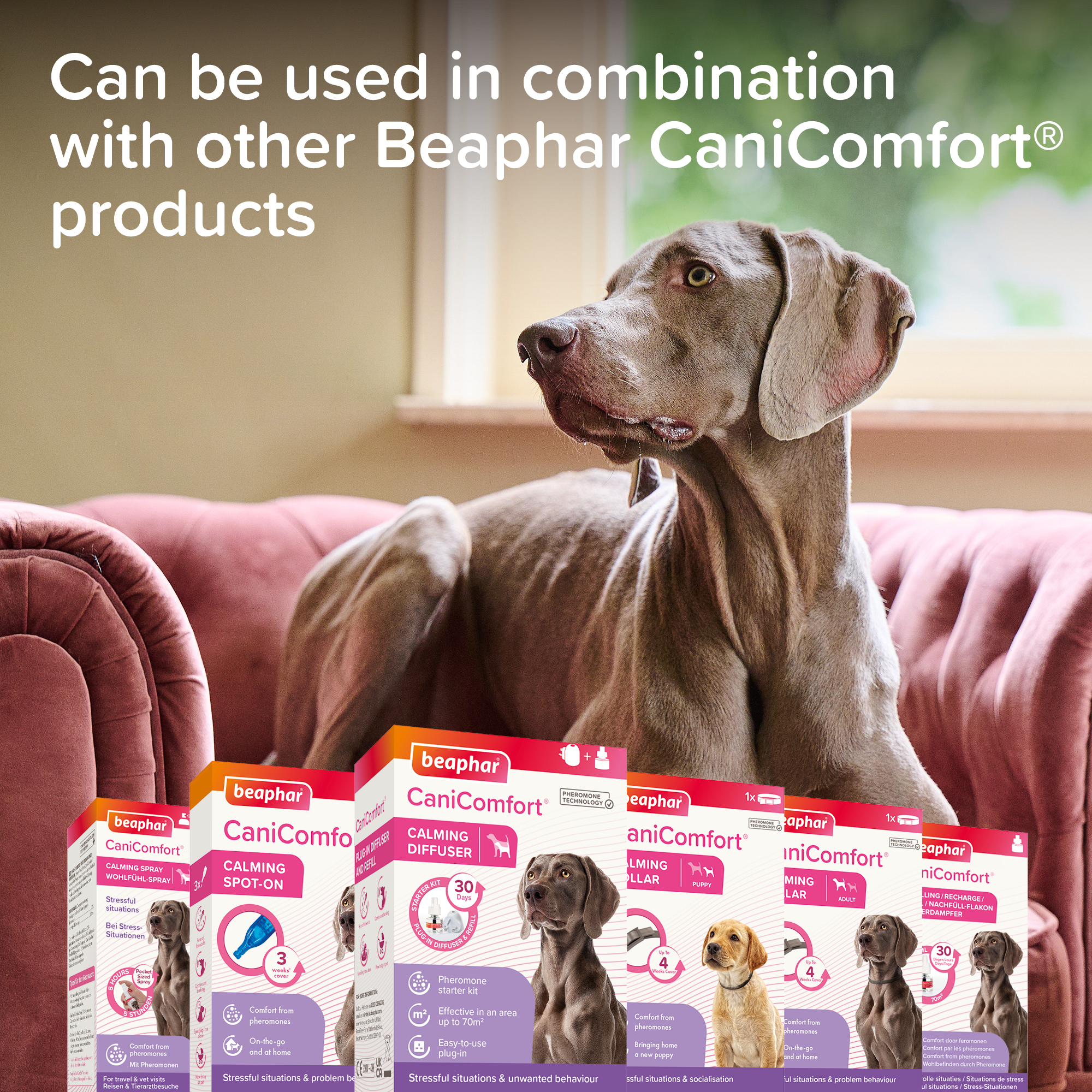 Beaphar CaniComfort® Calming Diffuser, Starter Kit 1x diffuser plug-in and 1x 48ml refill
