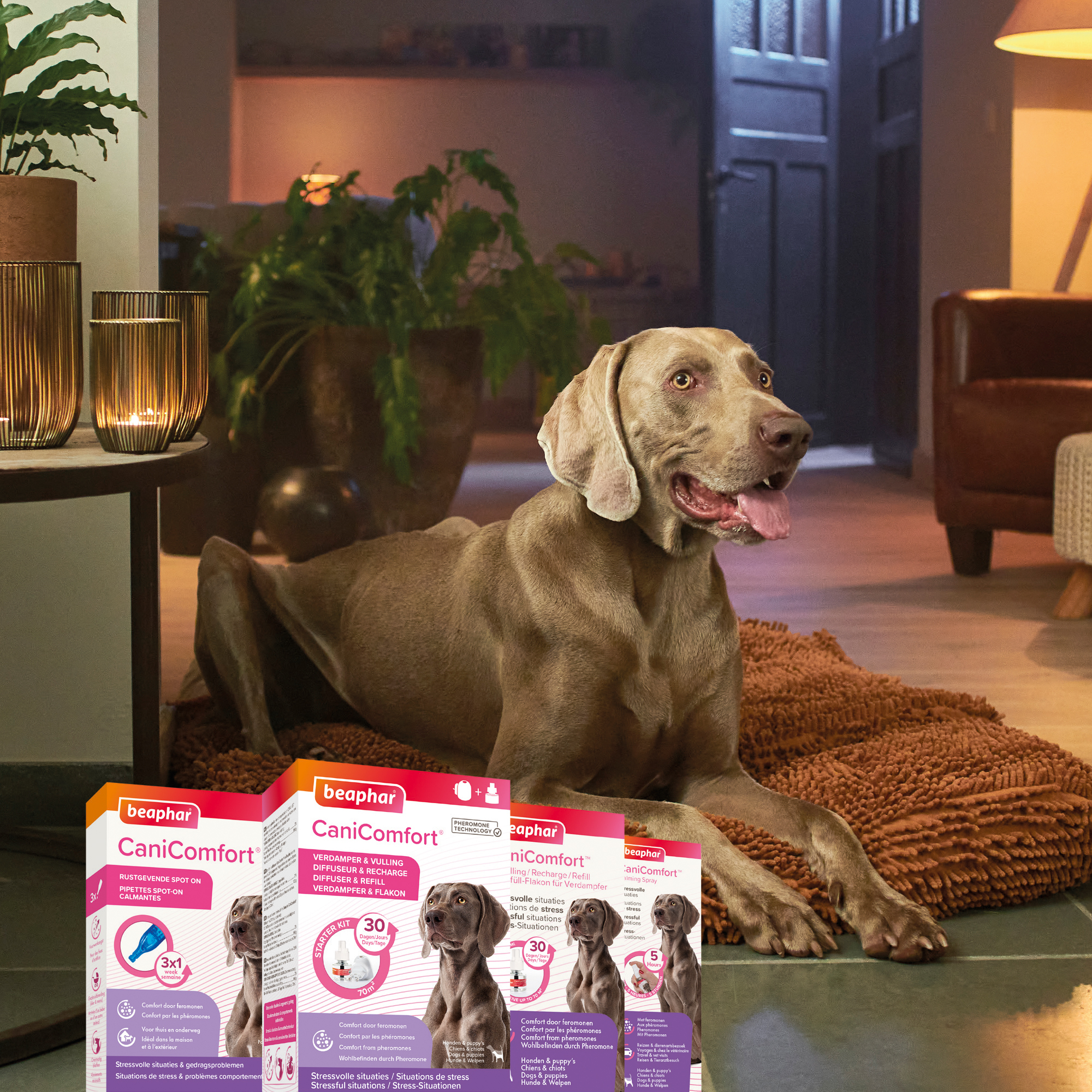 Beaphar CaniComfort® Rustgevende Spot-On 3 pipetten