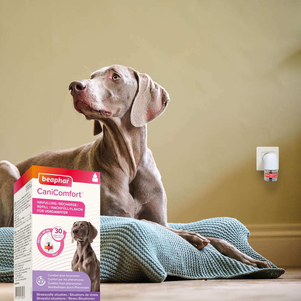 CaniComfort®, recharge calmante pour chien