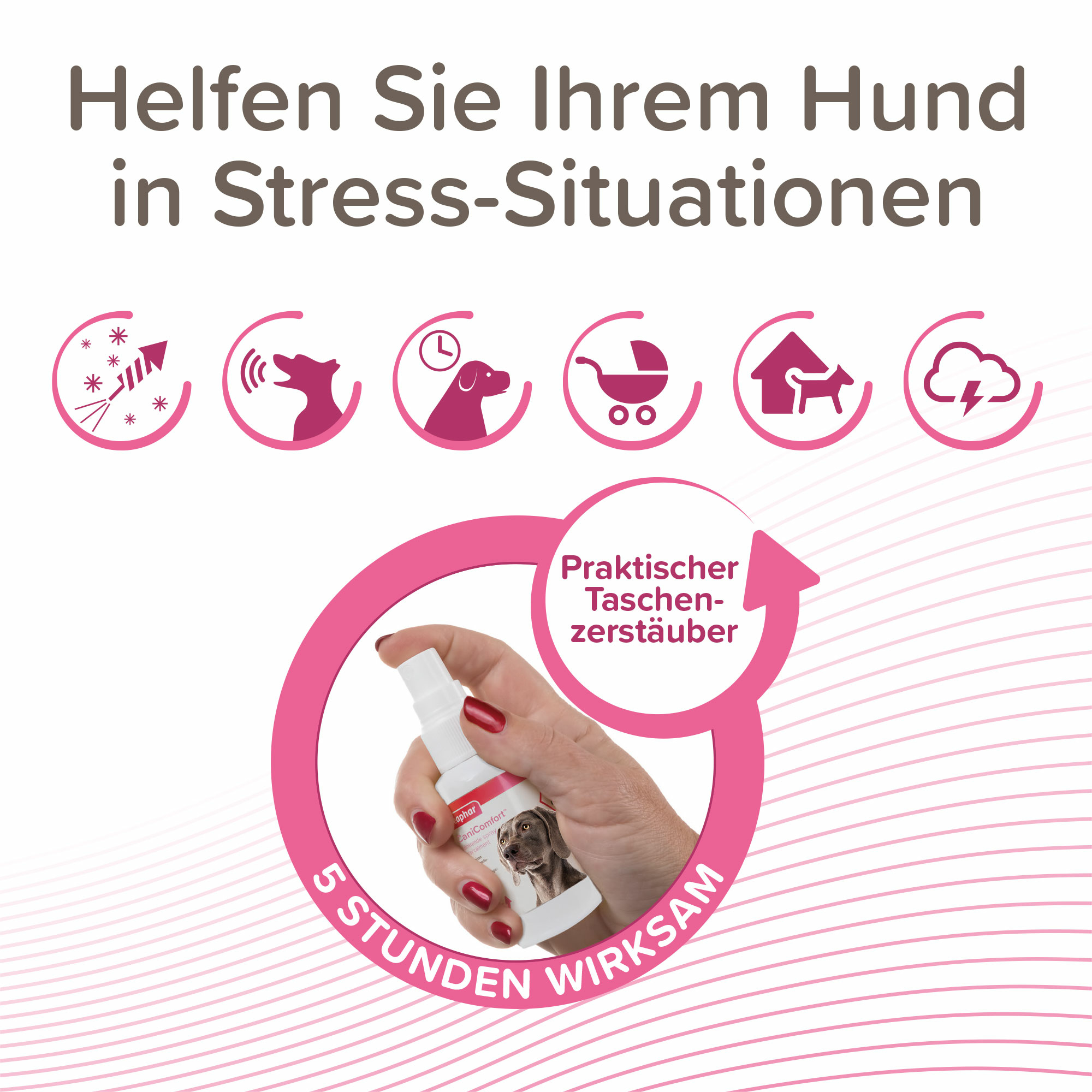 Beaphar CaniComfort® Wohlfühl-Spray, 30ml