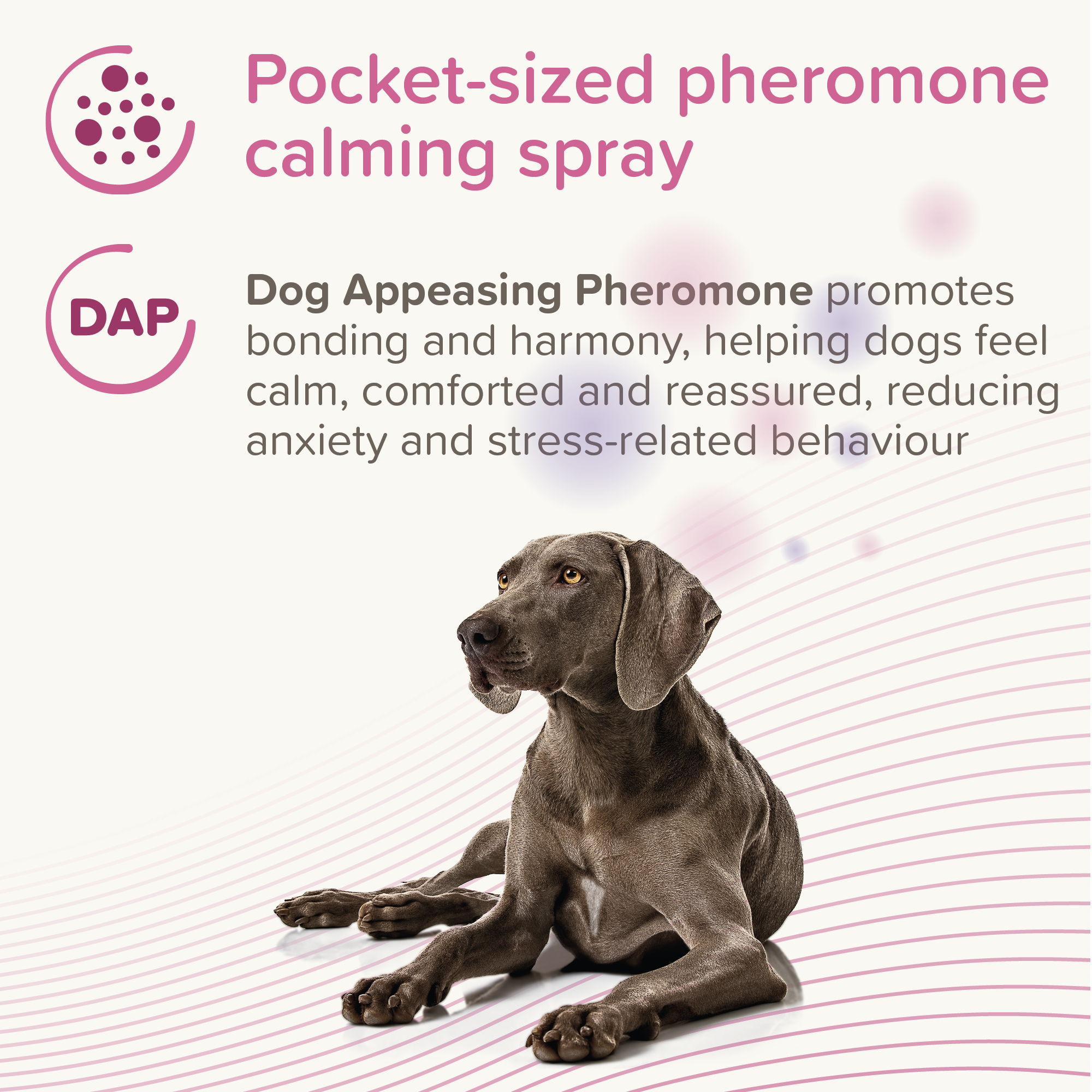 Beaphar CaniComfort® Pheromone Calming Spray for Dogs, 30ml
