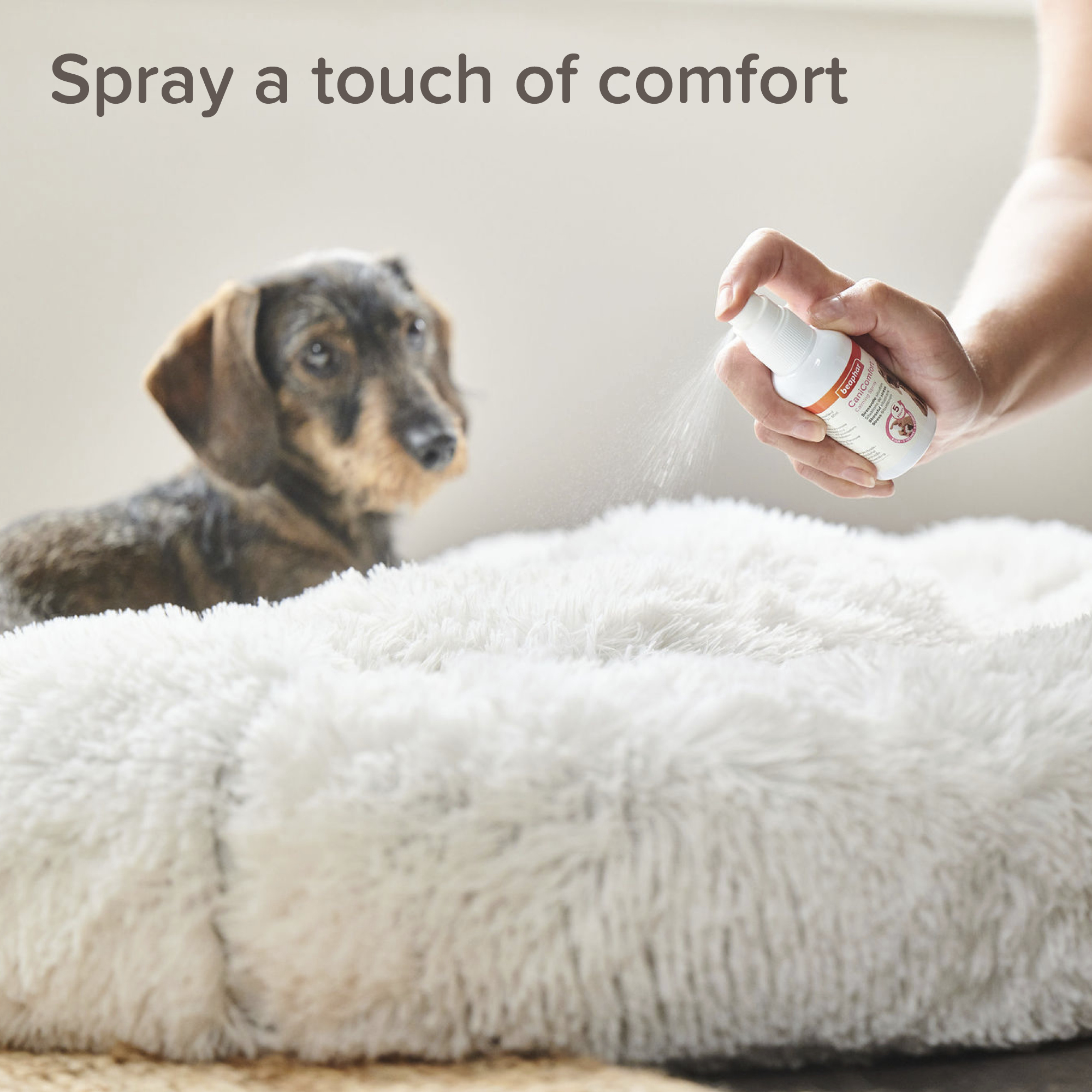 Beaphar CaniComfort® Pheromone Calming Spray for Dogs, 30ml