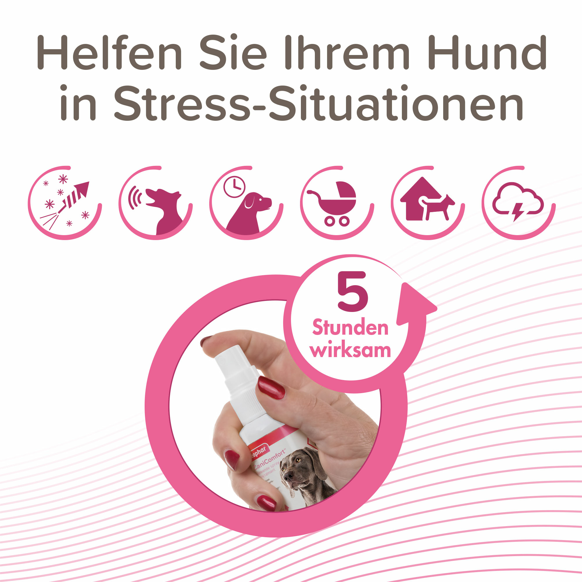 Beaphar CaniComfort® Wohlfühl-Spray, 60ml