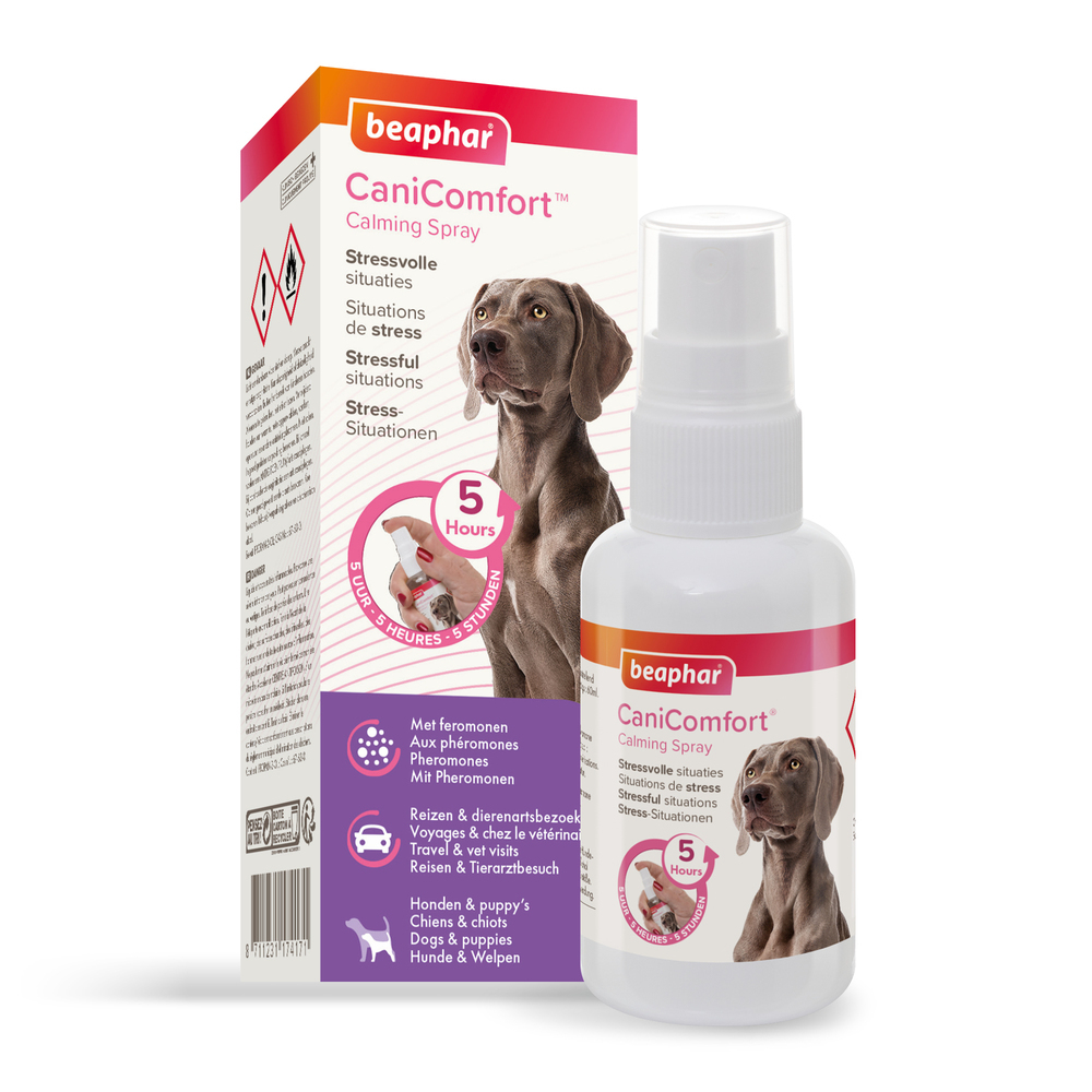 CANICOMFORT®, spray calmant aux phéromones pour chien et chiot