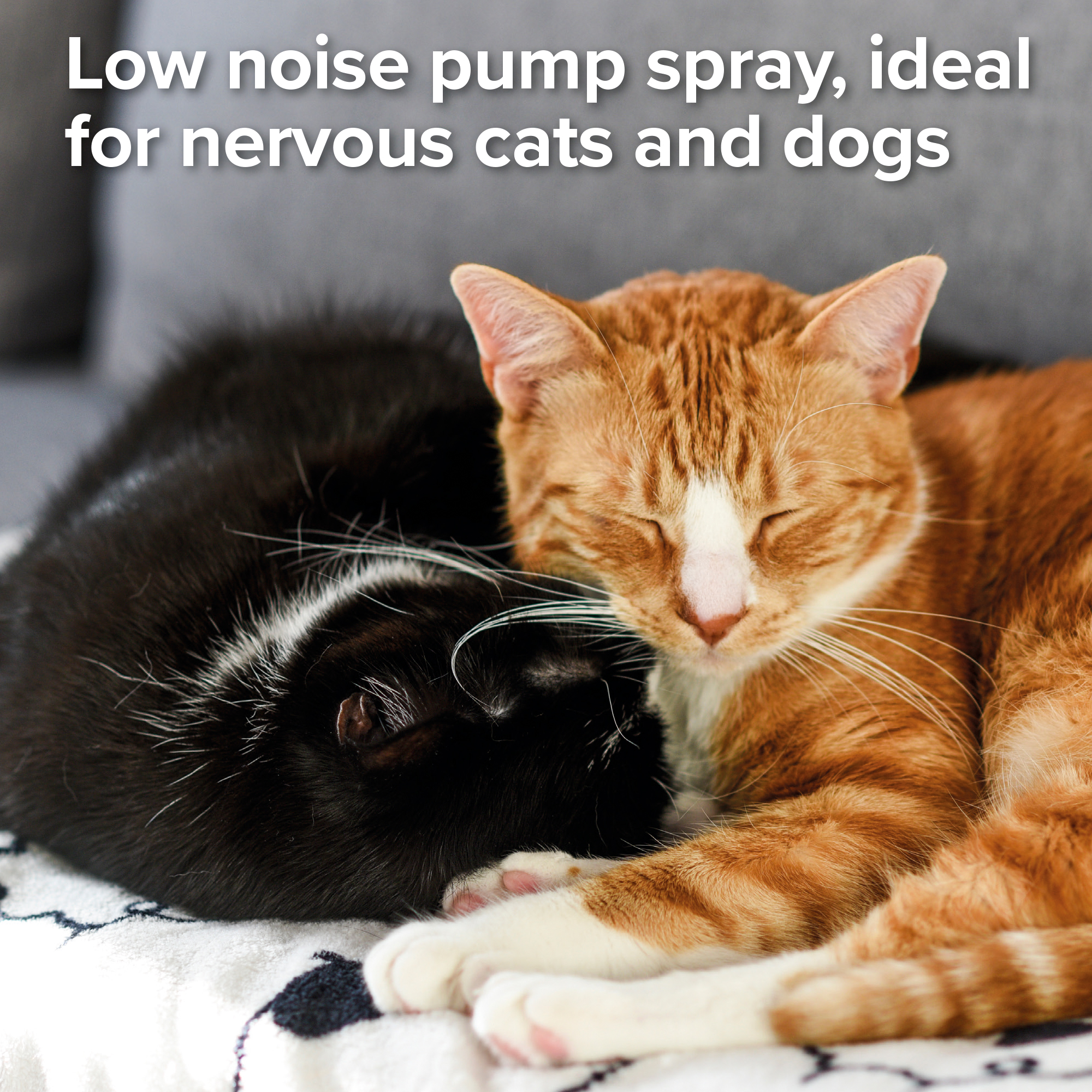 Beaphar Pump Action Flea Spray for Cats and Dogs, 150ml