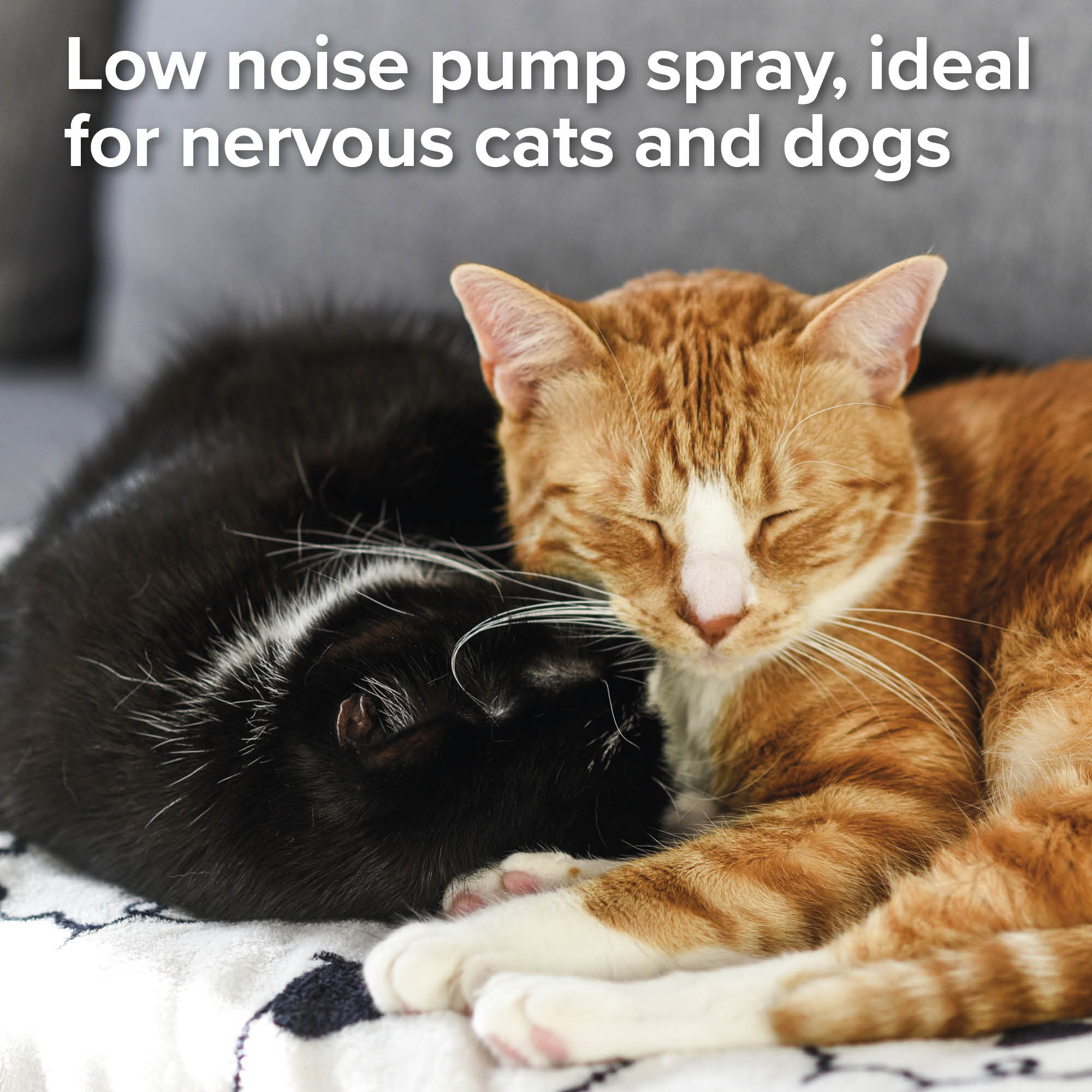Beaphar Pump Action Flea Spray for Cats and Dogs, 150ml