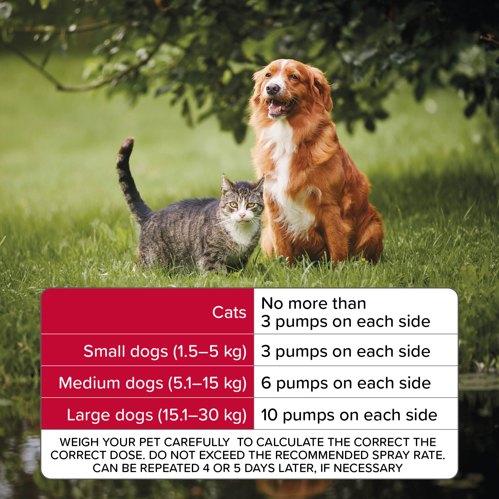 Beaphar Pump Action Flea Spray for Cats and Dogs, 150ml
