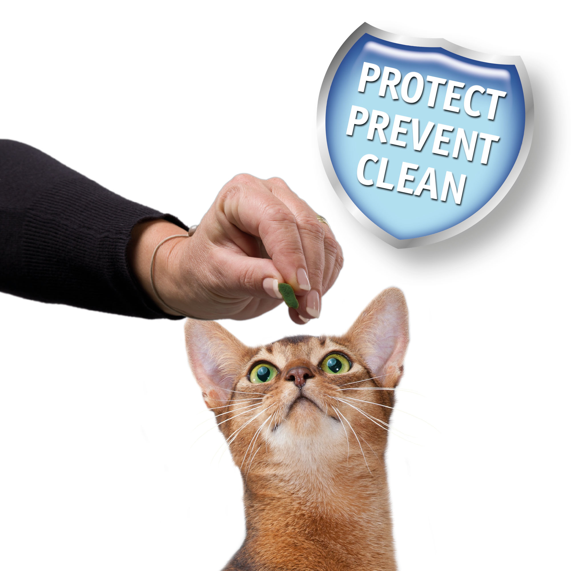 Beaphar Dental Easy Treat Cat