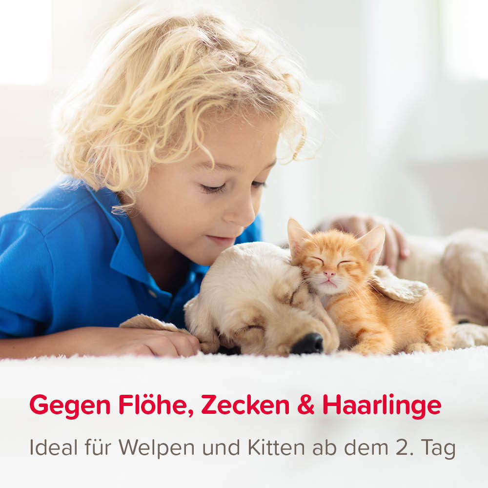 Fiprotec Spray 2,5 mg/ml Spray zur Anwendung auf der Haut