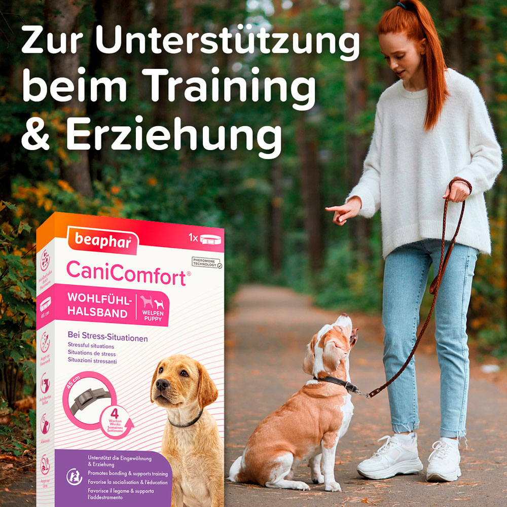 CaniComfort® Wohlfühl-Halsband für Welpen, 45cm