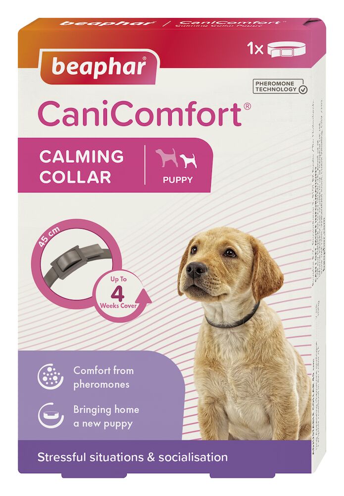 CaniComfort® nyugtató hatású feromonos nyakörv kölyök vagy kistestű kutyáknak (45 cm)