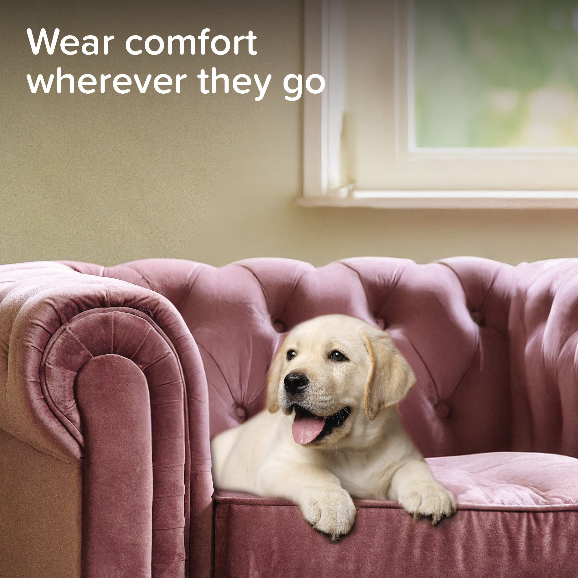 Beaphar CaniComfort® Pheromone Calming Collar for Puppies, 45cm