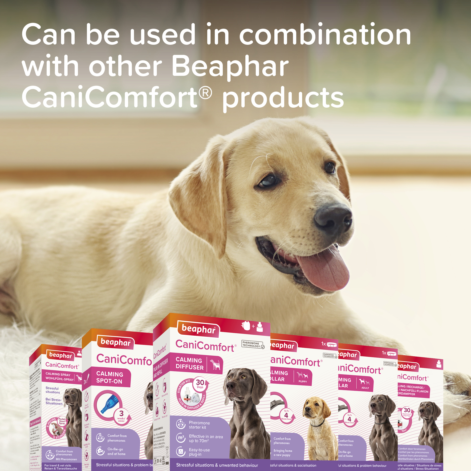 Beaphar CaniComfort® Pheromone Calming Collar for Puppies, 45cm