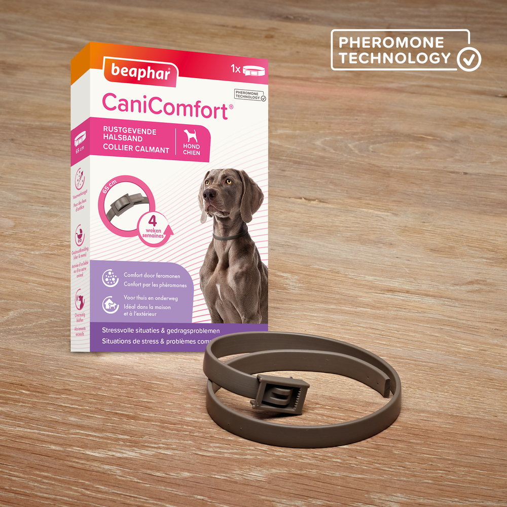 CANICOMFORT®, Collier calmant aux phéromones pour chien