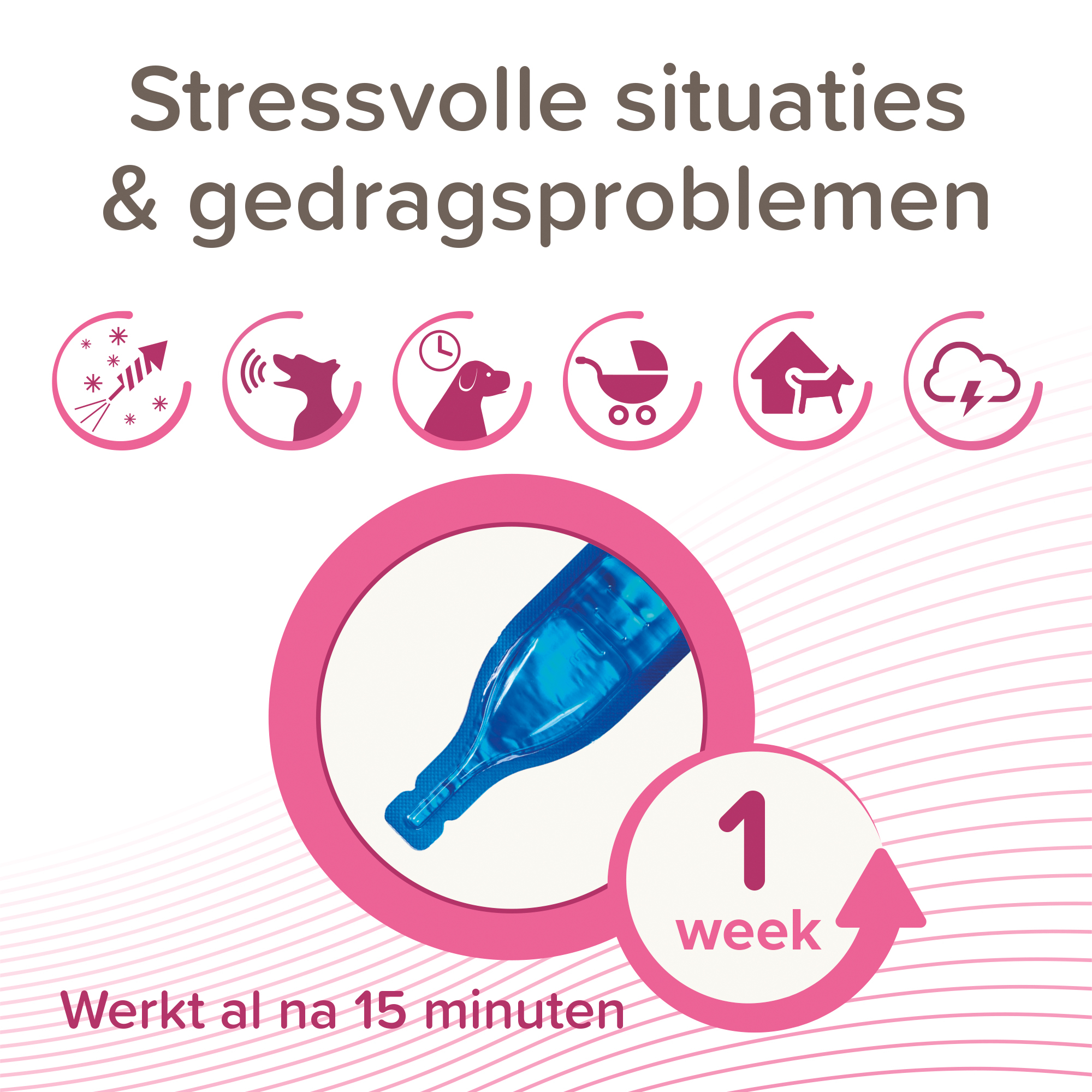 Beaphar CaniComfort® Rustgevende Spot-On 3 pipetten