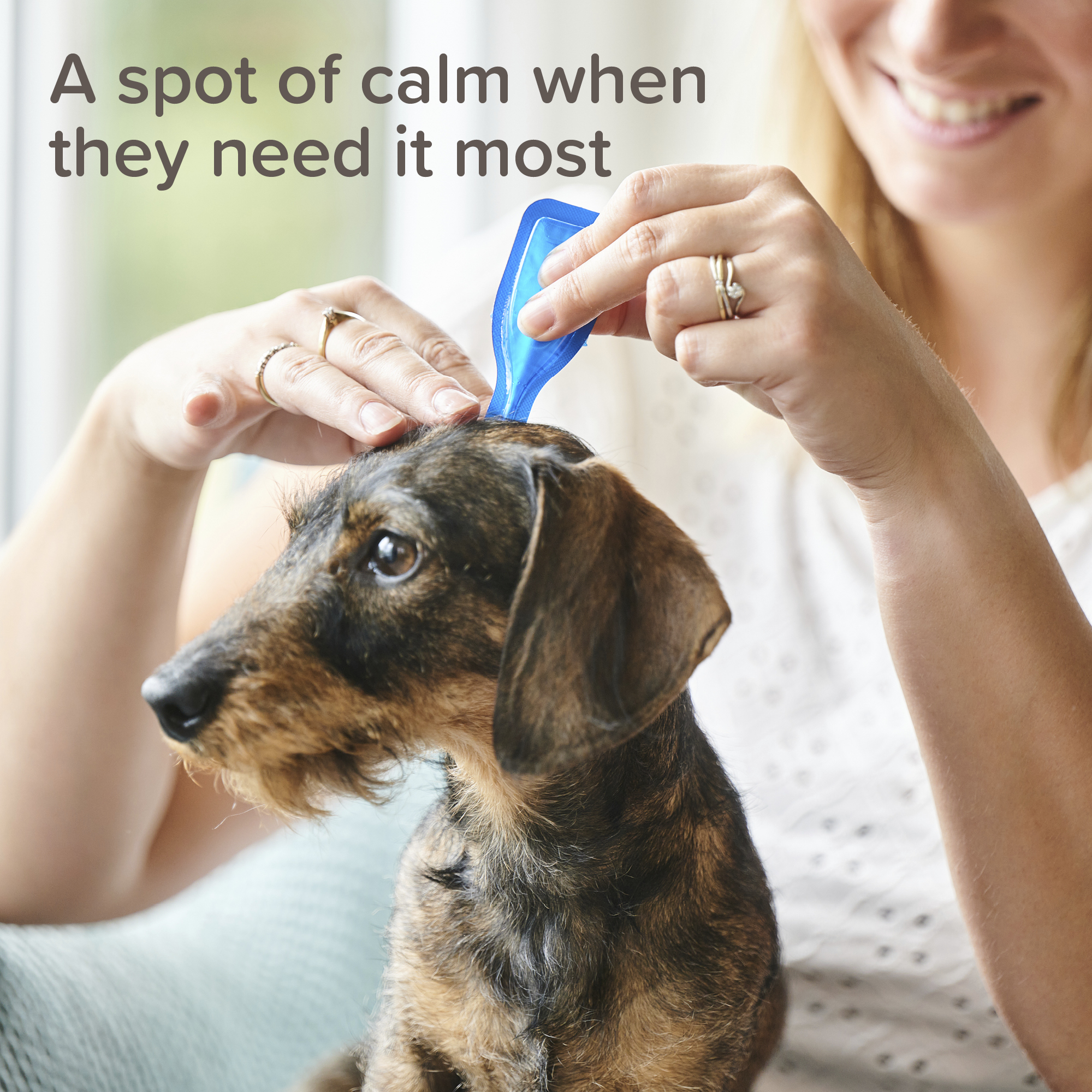 Beaphar CaniComfort® Pheromone Calming Spot-On for Dogs, 3 pipettes