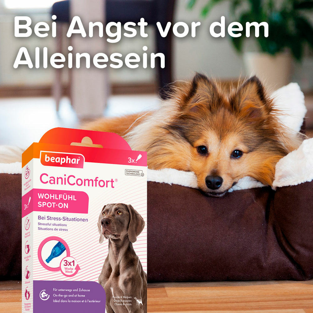 CaniComfort® Wohlfühl Spot-On