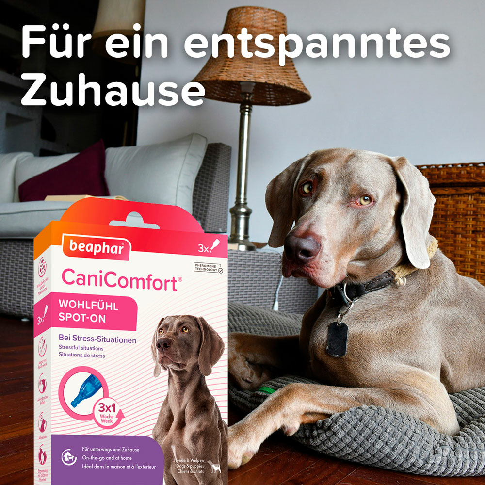 CaniComfort® Wohlfühl Spot-On