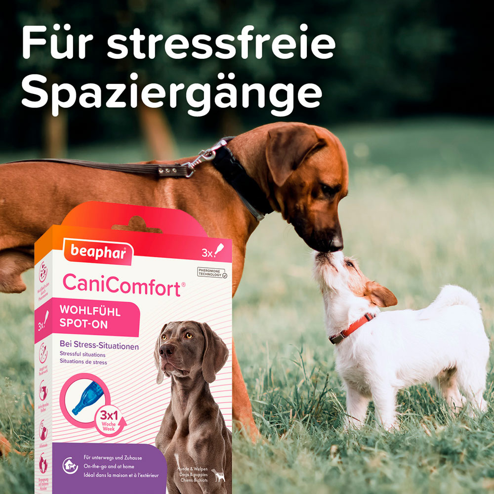 CaniComfort® Wohlfühl Spot-On
