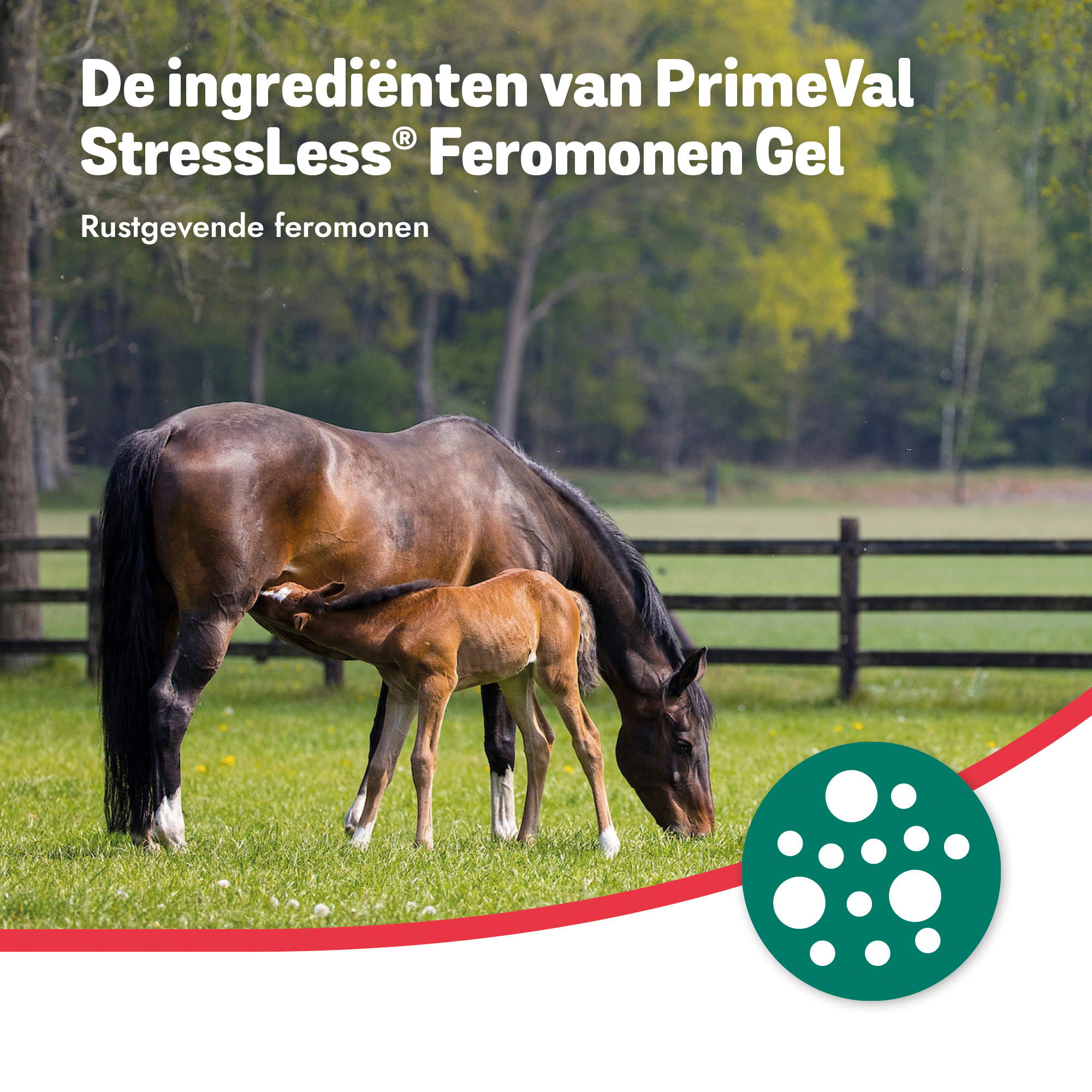 PrimeVal StressLess® Pheromone Gel 2x 5ml