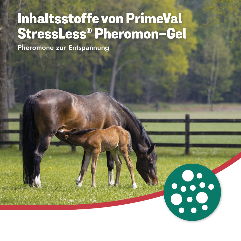 PrimeVal StressLess® Pheromon Gel 10x 5ml