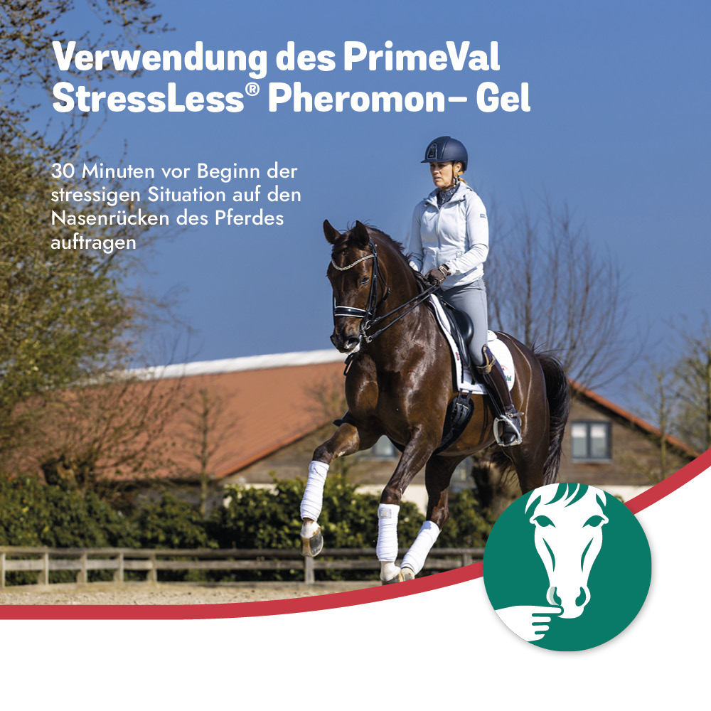 PrimeVal StressLess® Pheromon Gel 10x 5ml