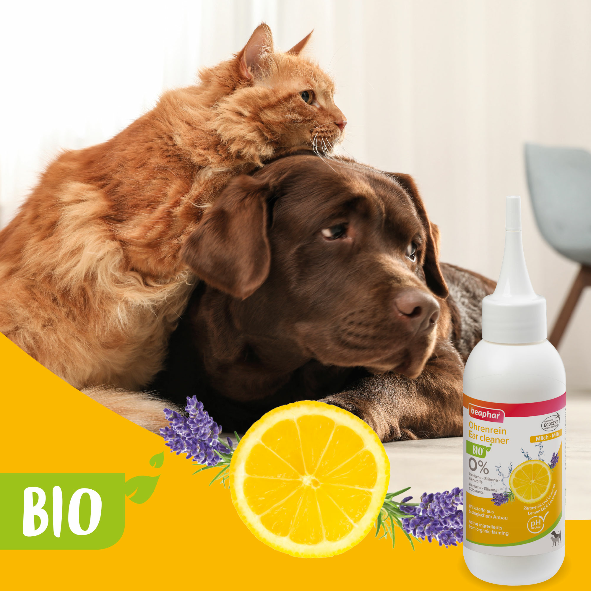 Beaphar Bio Ohrenrein Milch, 100ml