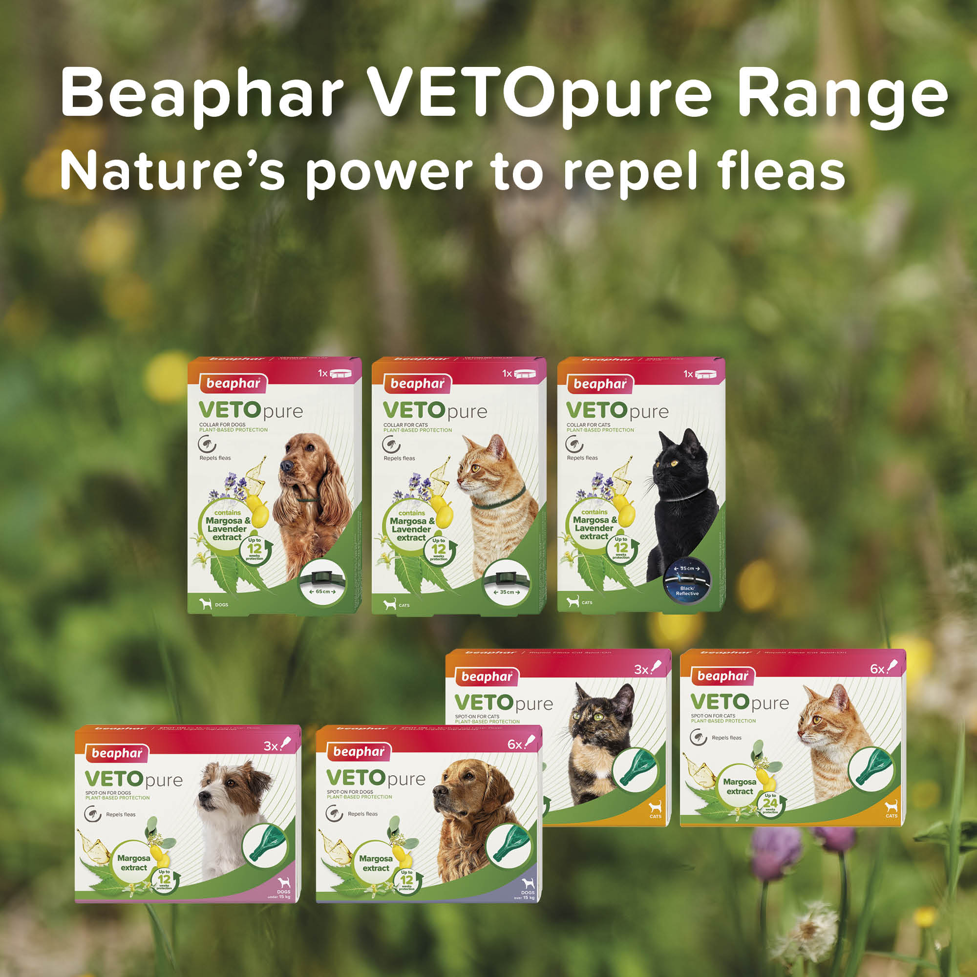 Beaphar VETOpure Plant-Based Flea Repellent Spot-On for Cats, 3 pipettes