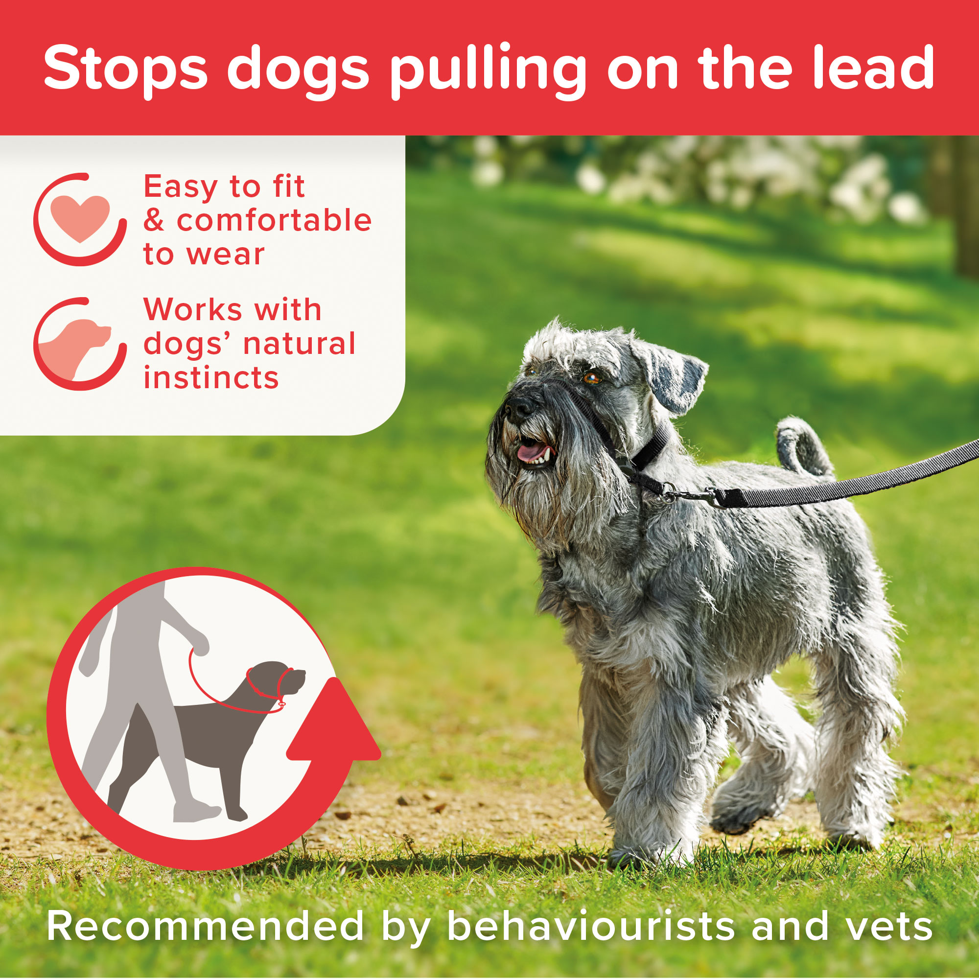 Beaphar Gentle Leader Black Small Dog
