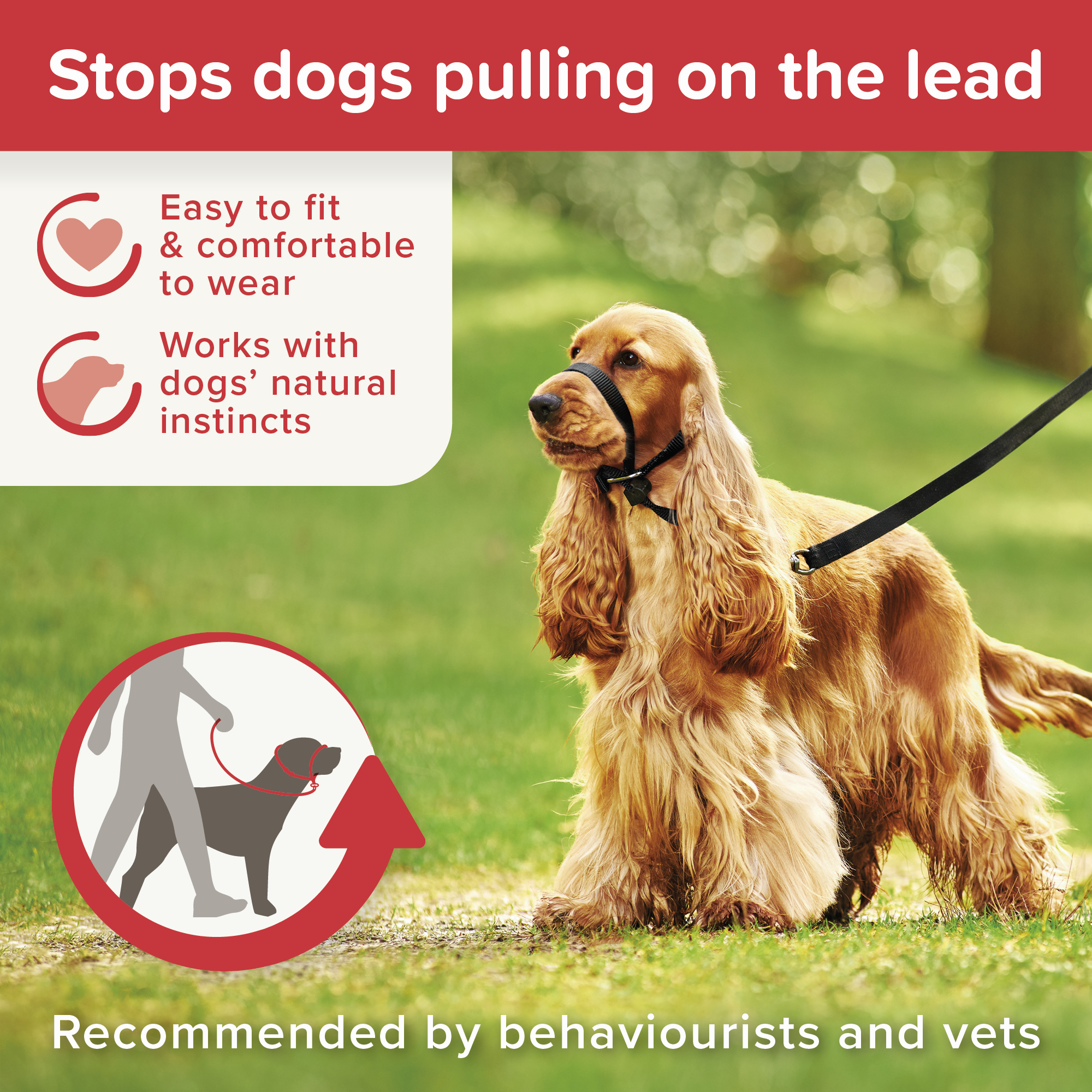 Beaphar Gentle Leader®
