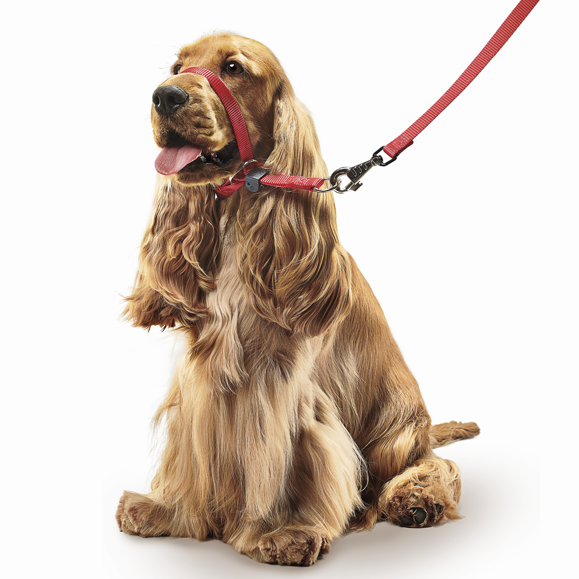Beaphar Gentle Leader® Correa Adiestramiento Rojo- Perro Mediano