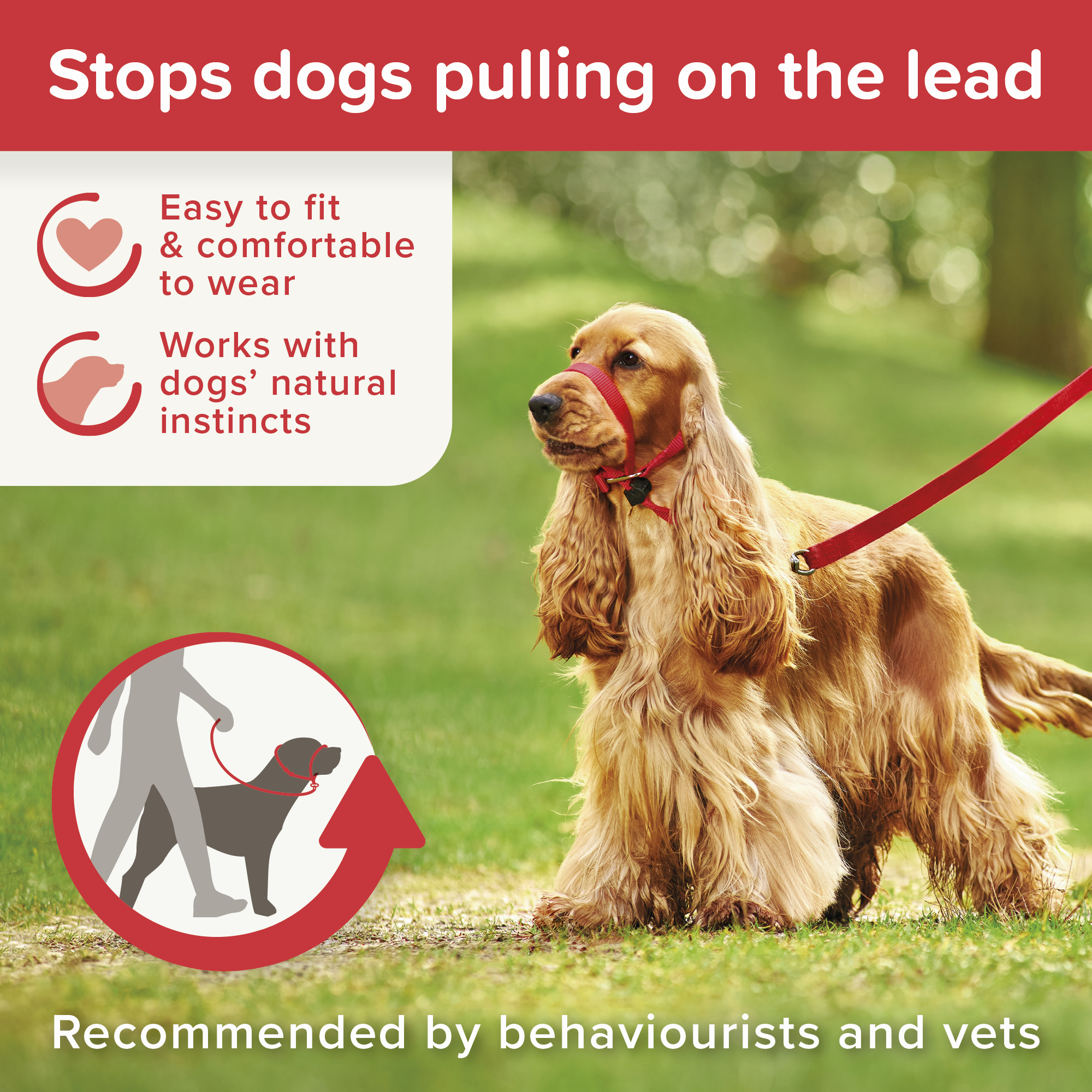Beaphar Gentle Leader Red Medium Dog