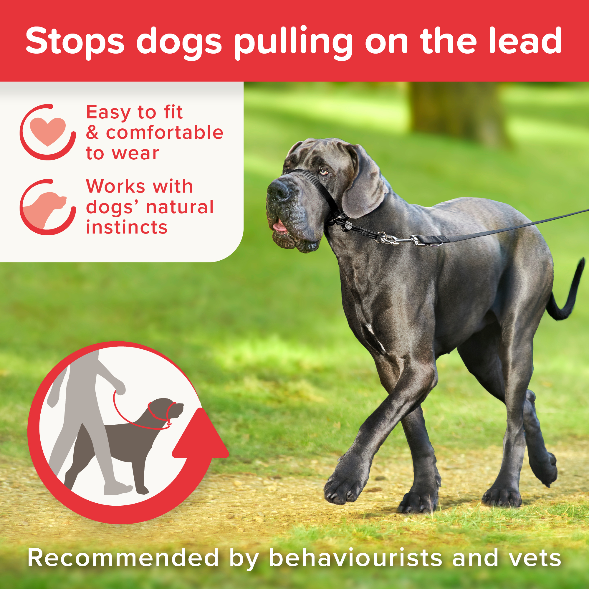 Beaphar Gentle Leader®
