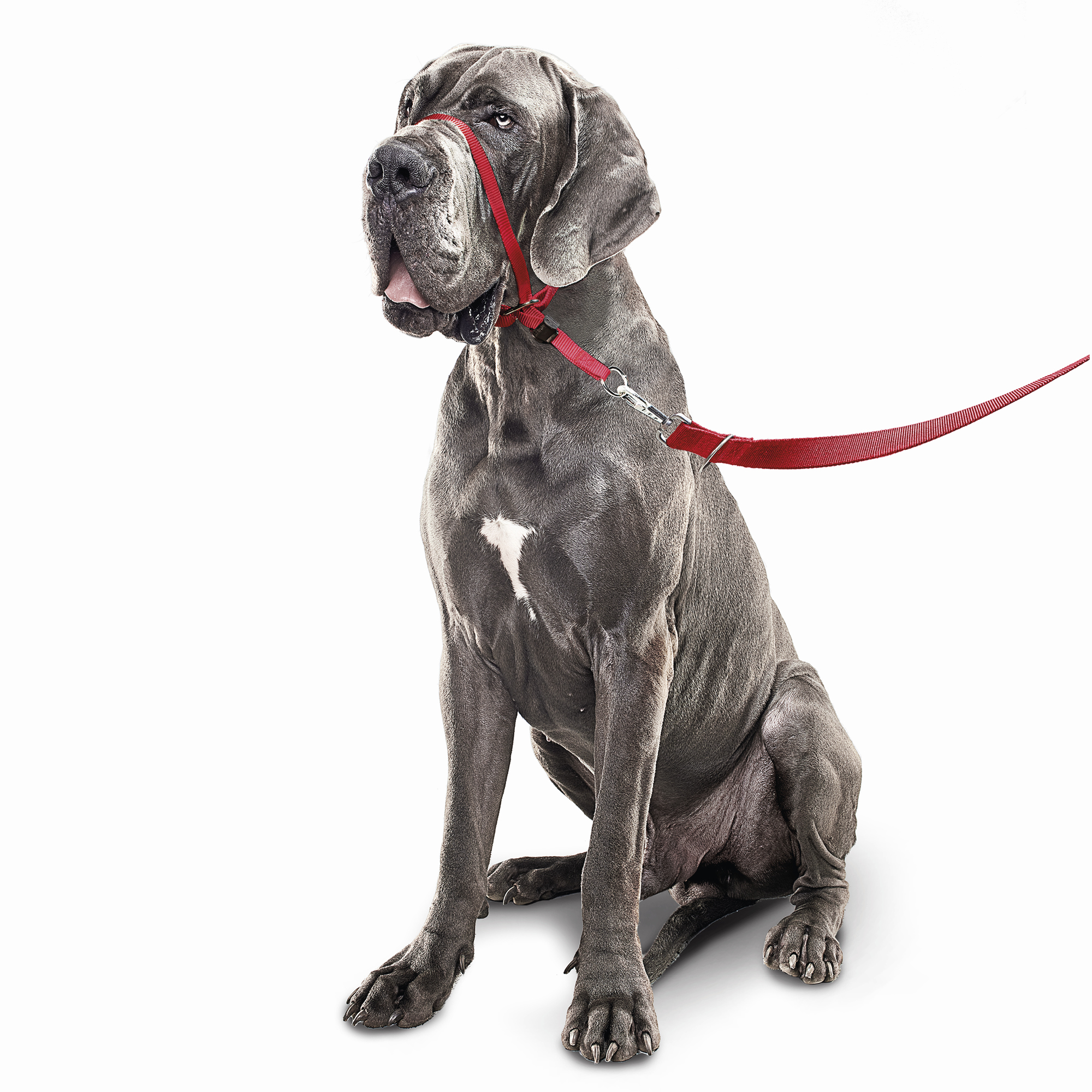 Beaphar Gentle Leader Red Large Dog