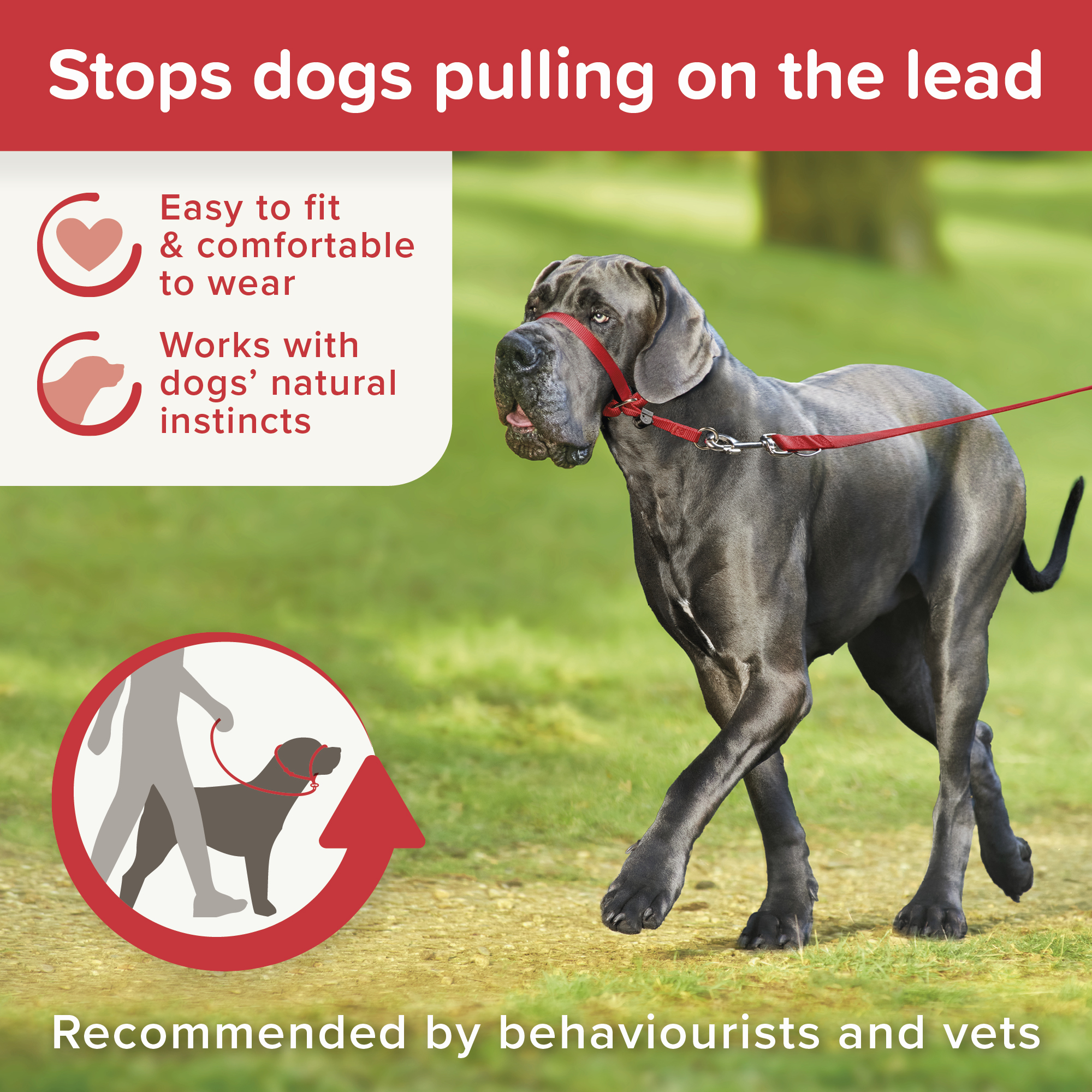Beaphar Gentle Leader Red Large Dog