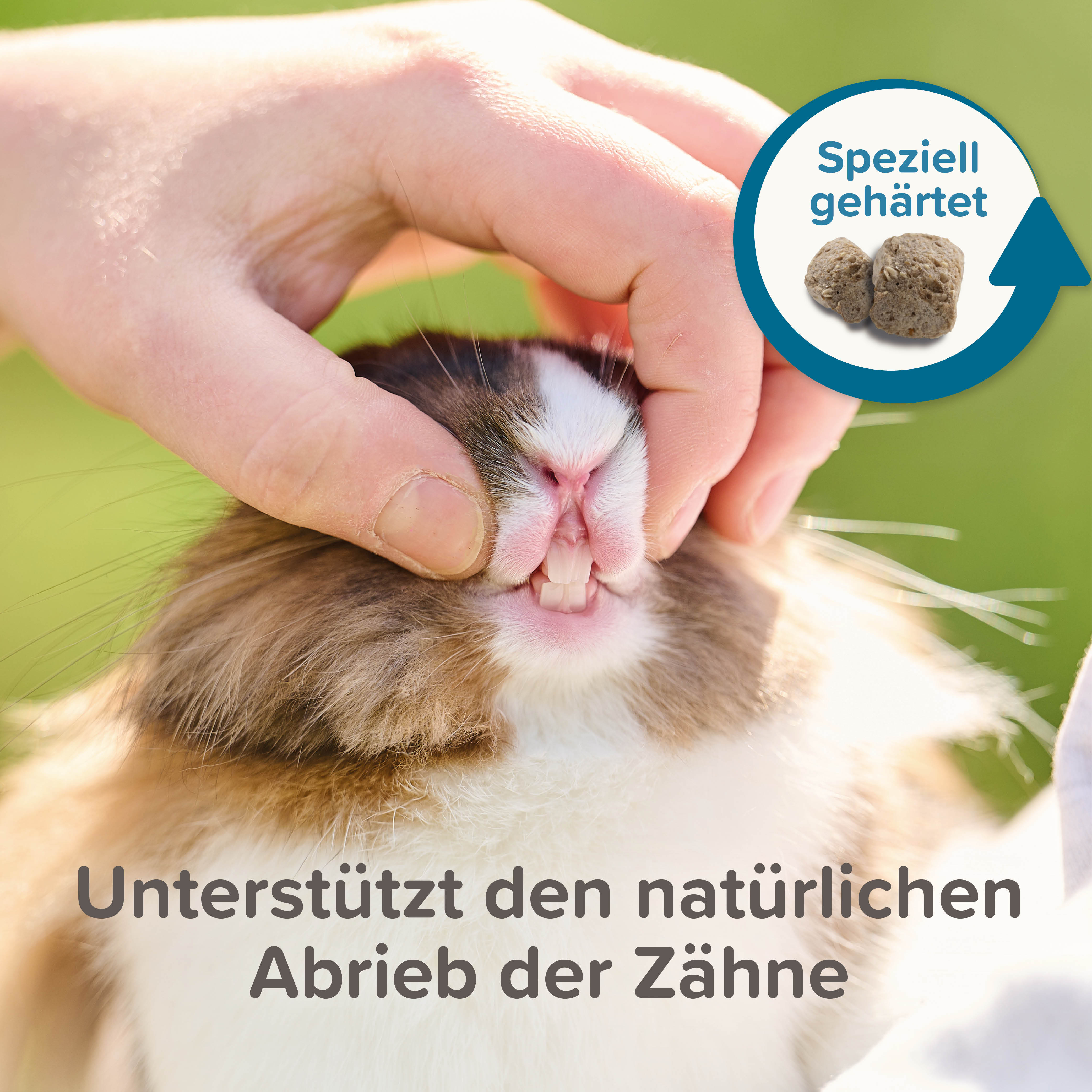 Beaphar Care+ Hamster, 750g